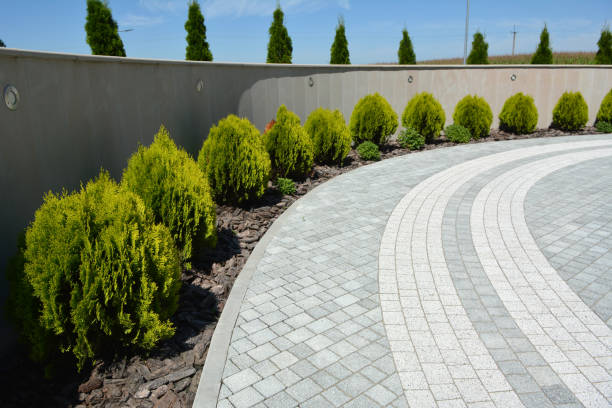 Best Custom Driveway Pavers  in Dwight, IL
